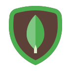 icon mongodb